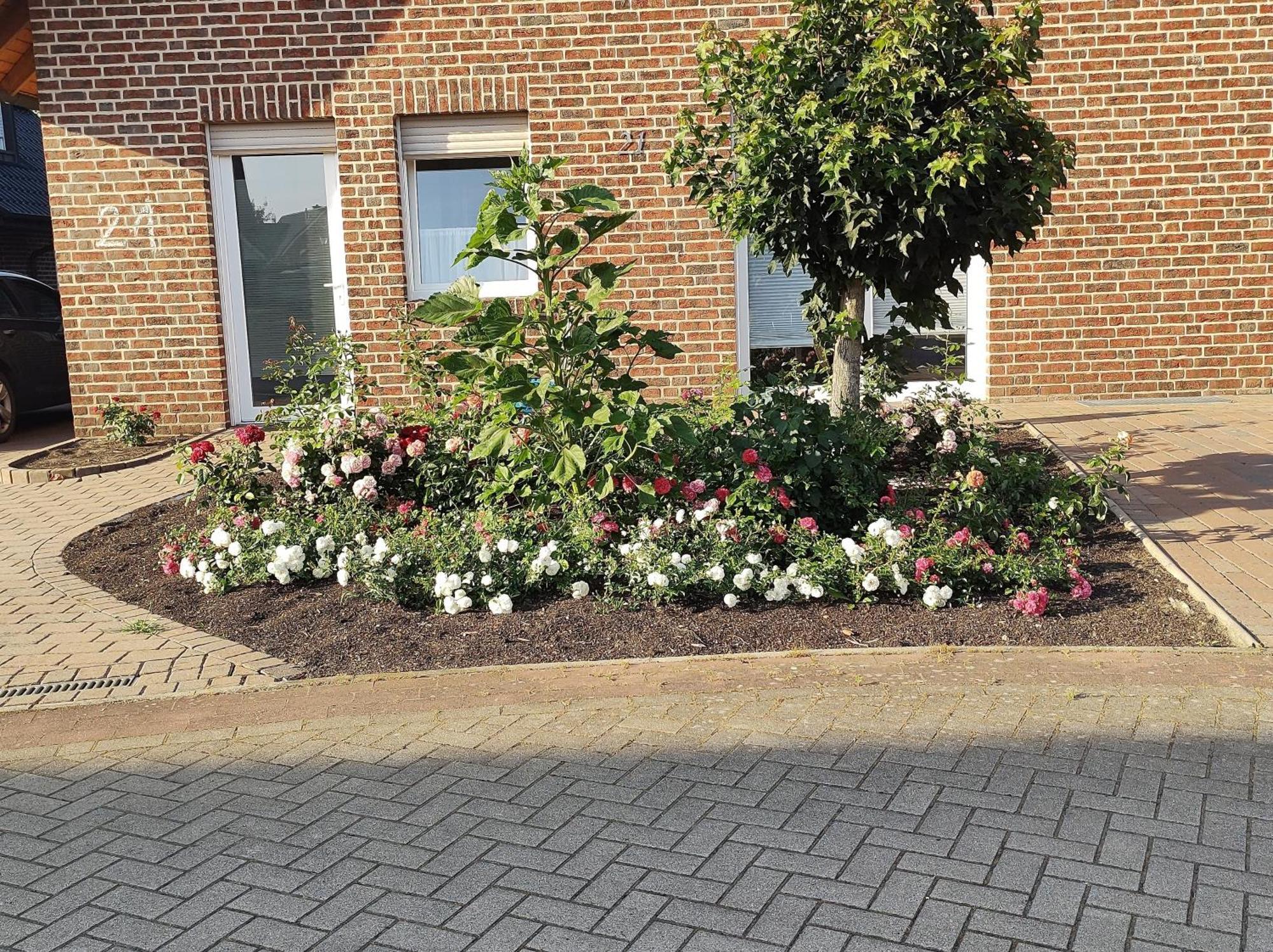 Fewo Holunderbusch Saerbeck Exterior photo